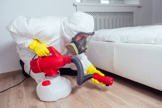 Best Bed Bug Extermination  in South Elgin, IL
