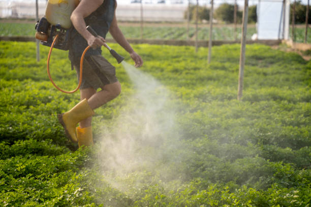 Best Local Pest Control Services  in South Elgin, IL